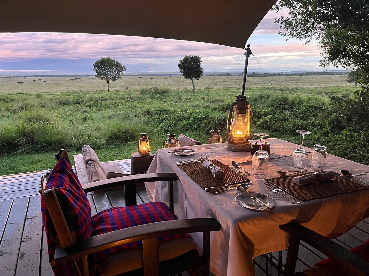 Luxury Safari
